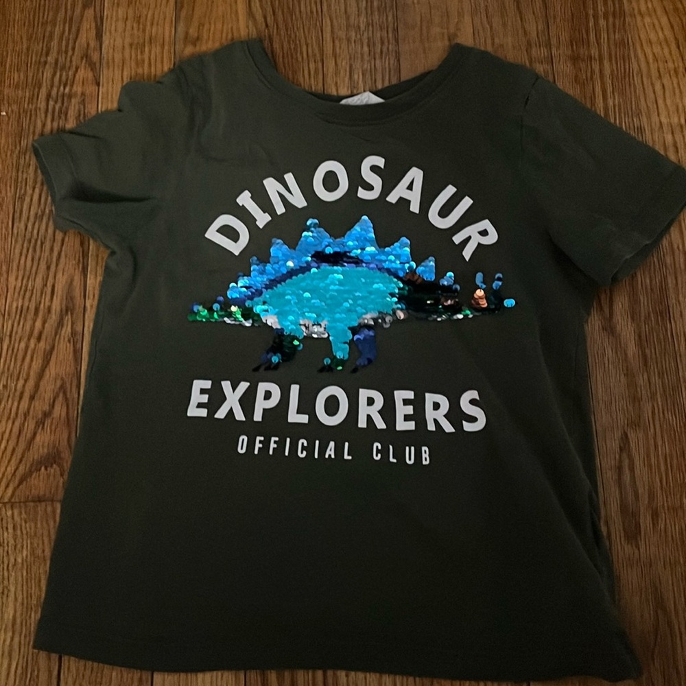 Green dinosaur shirt with color flips
